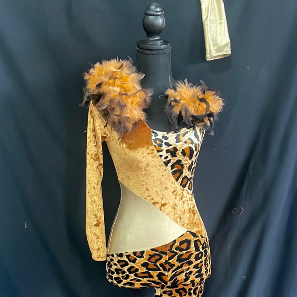 Gold and Brown Dance Costume with Accents With An Extra Sleeve and Hair Piece